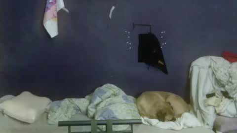 Snapshot of turkishtranswithsurgery chatting on 12, 4, 2026 turkishtranswithsurgery online show from 12, 4, 2026