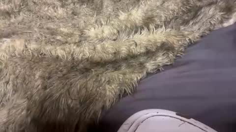 Snapshot of turntpixie chatting on 7, 3, 2026 turntpixie online show from 7, 3, 2026