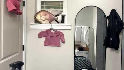 Tusekzee online show from 17, 11, 2025