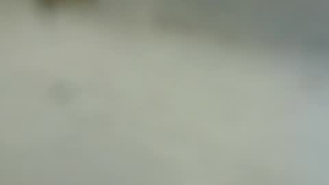 tutu1723153673 online show from 6, 1, 2025