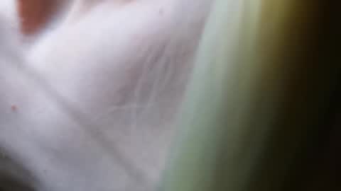 Vicky  Victor online show from 7, 3, 2025