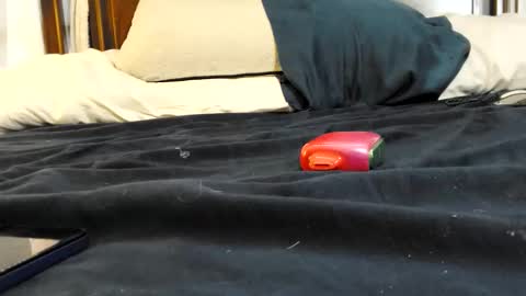 twinkkluvva online show from 17, 2, 2026