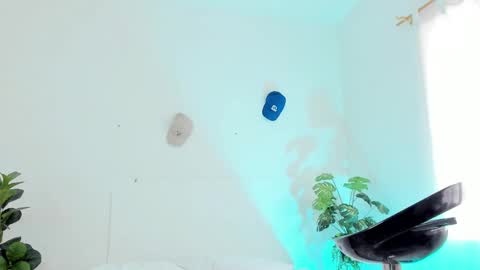 Snapshot of tyler_jonnes chatting on 27, 2, 2025 Tyler online show from 27, 2, 2025