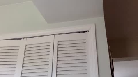 Snapshot of tylerdurden256 chatting on 1, 3, 2025 Tyler Durden online show from 1, 3, 2025