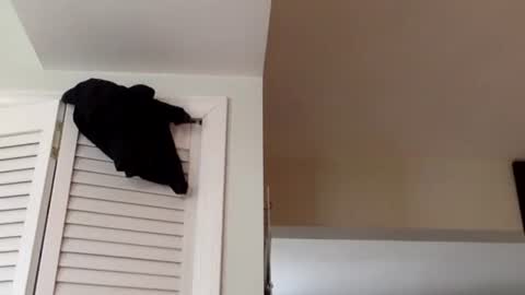 Snapshot of tylerdurden256 chatting on 2, 3, 2025 Tyler Durden online show from 2, 3, 2025