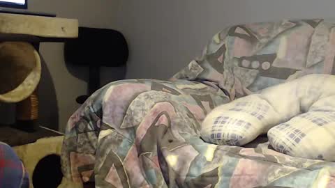 Snapshot of tyson2525 chatting on 22, 2, 2025 Helena and Tyson online show from 22, 2, 2025