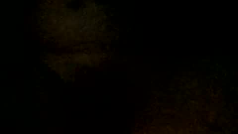 tystickk66 online show from 6, 1, 2025