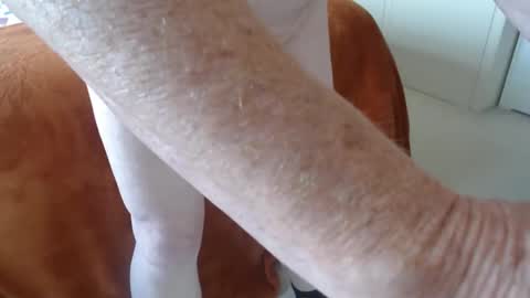 Snapshot of uncle2433 chatting on 21, 4, 2026 Uncle online show from 21, 4, 2026