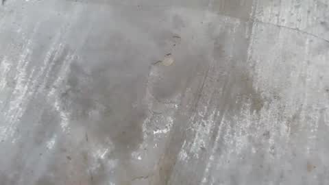 Snapshot of urdreamboy_clarin chatting on 21, 4, 2026 urdreamboy_clarin online show from 21, 4, 2026