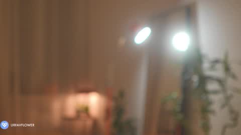 Snapshot of urfavflwers chatting on 9, 11, 2025 Aleksandra online show from 9, 11, 2025