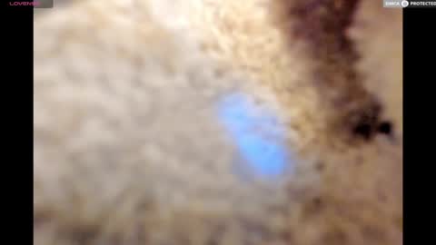 Snapshot of urnewdaddy90 chatting on 17, 1, 2025 Big Daddy online show from 17, 1, 2025