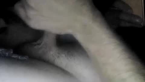 Snapshot of useabitchplz chatting on 22, 4, 2026 Slave bitch online show from 22, 4, 2026