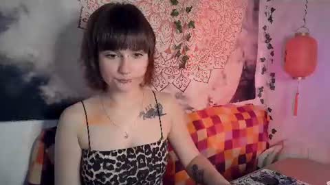 Judy online show from 14, 7, 2026