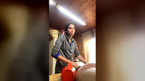 valeria_feroz online show from 3, 6, 2026