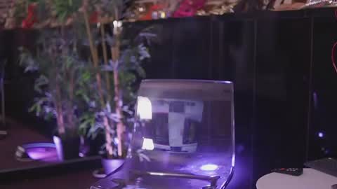 Snapshot of vanessavosss chatting on 2, 7, 2026 Vanessa online show from 2, 7, 2026