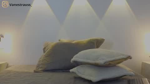 Snapshot of vanestrauss chatting on 22, 2, 2025 New account follow me online show from 22, 2, 2025