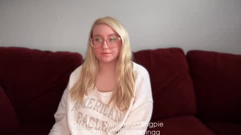 Snapshot of vanillapuddingpie chatting on 5, 12, 2024 vanillapuddingpie online show from 5, 12, 2024