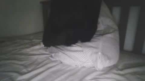 Snapshot of varghese28 chatting on 18, 9, 2025 kerala mallu boy online show from 18, 9, 2025