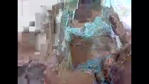 veera256 online show from 17, 12, 2024