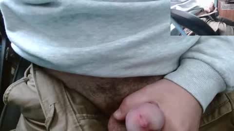 vegeta_ssj online show from 29, 3, 2026