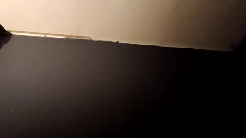 vegeto222 online show from 23, 11, 2025