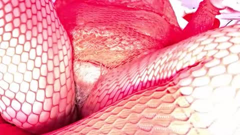 Vehe Veun online show from 18, 12, 2025