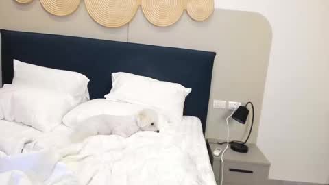 Snapshot of veola_new chatting on 9, 11, 2025 Violetta online show from 9, 11, 2025