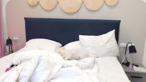 Snapshot of veola_new chatting on 2, 12, 2025 Violetta online show from 2, 12, 2025