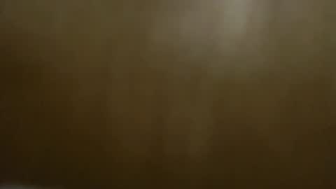 Snapshot of vera_octopus chatting on 6, 12, 2024 CHLOE the C L are silent online show from 6, 12, 2024