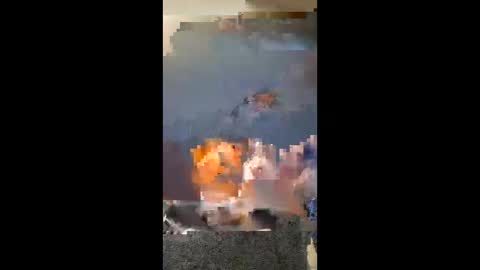 vhornynige69 online show from 9, 1, 2026