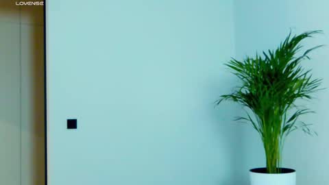 Miss V online show from 27, 11, 2025