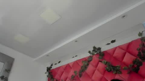 Snapshot of victoriawills_ chatting on 12, 3, 2025 ADRIANA online show from 12, 3, 2025