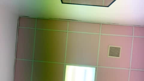 Snapshot of victoryd007 chatting on 17, 1, 2026 victoryd007 online show from 17, 1, 2026