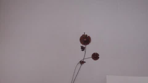 Snapshot of viiolettaaa chatting on 27, 6, 2026 viiolettaaa online show from 27, 6, 2026