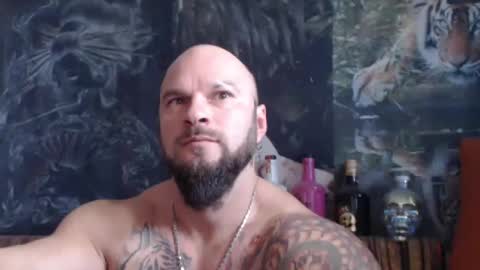 viking online show from 7, 11, 2025