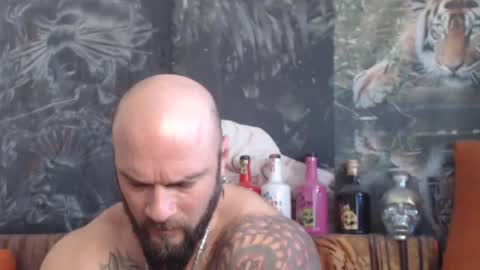 viking online show from 24, 11, 2025