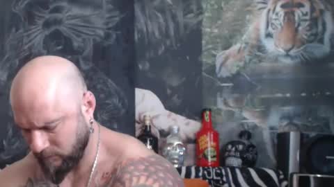 viking online show from 11, 4, 2026