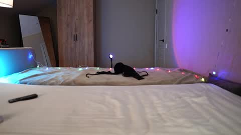 Snapshot of vikkilustfull chatting on 21, 12, 2025 VIKKI online show from 21, 12, 2025