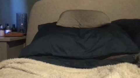 Vinny online show from 3, 3, 2025