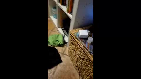 Snapshot of vinziiiii chatting on 11, 3, 2026 Vinz online show from 11, 3, 2026