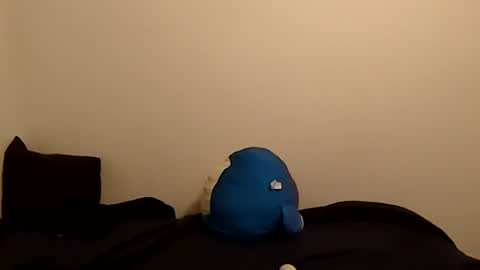 Violet Kitty online show from 19, 7, 2026