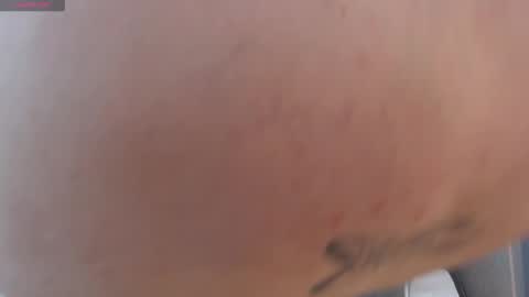 Violetta online show from 29, 11, 2025