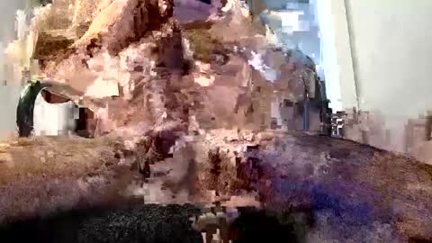 horny guy online show from 29, 5, 2026
