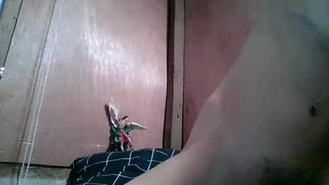 Snapshot of vivamaxgirls chatting on 10, 2, 2026 kim online show from 10, 2, 2026