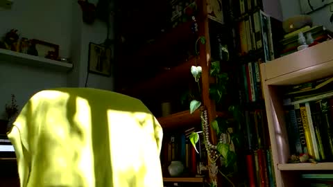 Viv online show from 27, 10, 2025