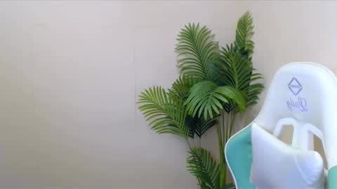 Vivien online show from 12, 12, 2024