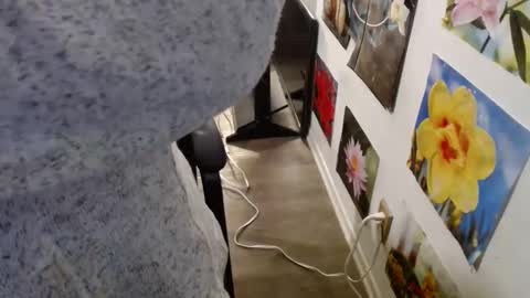 Snapshot of vixenfyre chatting on 12, 12, 2024 Vixen Fyre online show from 12, 12, 2024