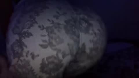 Snapshot of vkitty01 chatting on 31, 3, 2026 vkitty01 online show from 31, 3, 2026