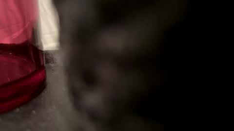 John online show from 22, 12, 2024