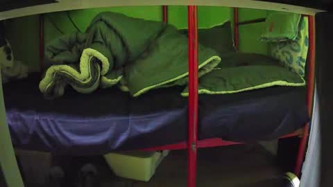 Snapshot of walltazv chatting on 24, 3, 2026 Kentaro online show from 24, 3, 2026